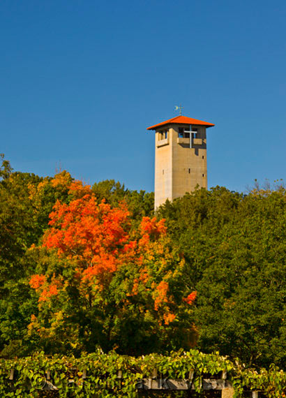 Judson Tower -  In Fall Color