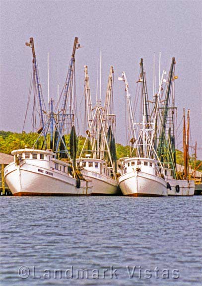 Shrimper Fleet