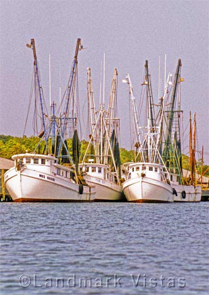 Shrimper Fleet